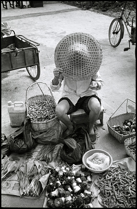 ©copyright Marco Giardini